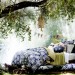 Isager-blommingdals-2