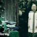 Isager-green-2