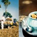 Isager-india-2