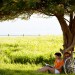 Isager-wholeliving-2