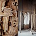 Isager-wood-4