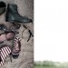 Isager-horse -6